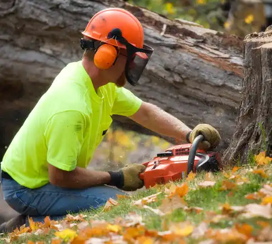 tree services Crown City